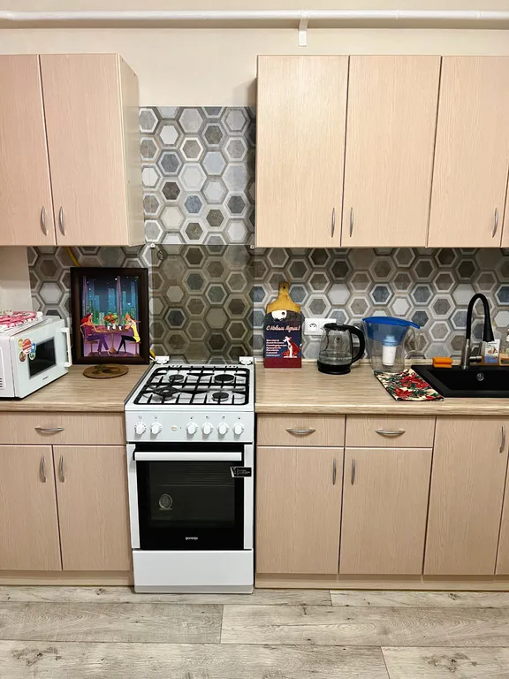 Уютная квартира у Глобуса