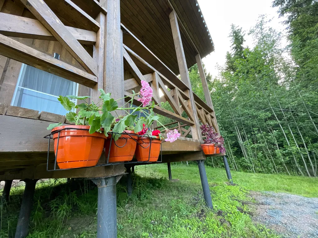 Домик для семейного отдыха в лесу