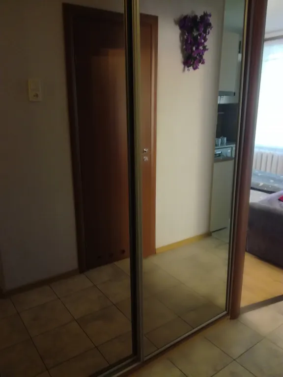 Квартира Квартира рядом с НИИ Турнера в окружении дворцов — Пушкин