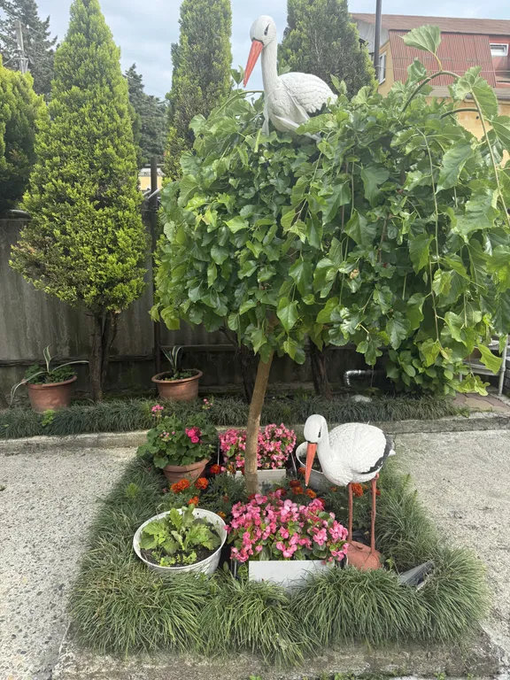 Квартира Квартира BoxHouse Апартамент 2-местный — Сочи