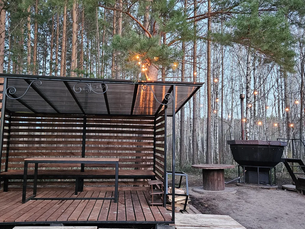 Загородный дом под соснами с сауной и чаном