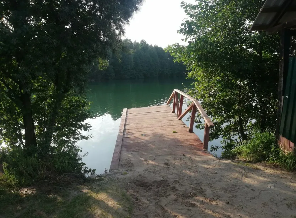 Дом под соснами