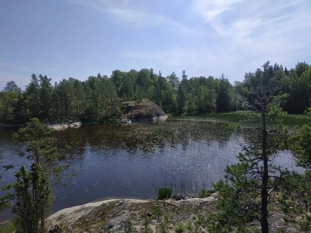 Дом на берегу ладожского озера, в живописном месте
