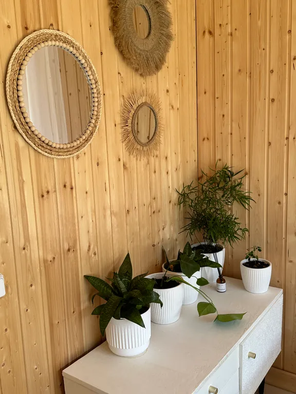 Семейный домик в лесу