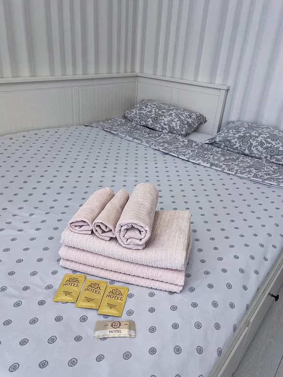 Трехкомнатная квартира на Парнасе