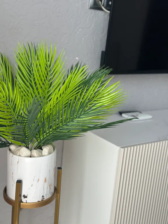 Уютная квартира в центре города с видом на море