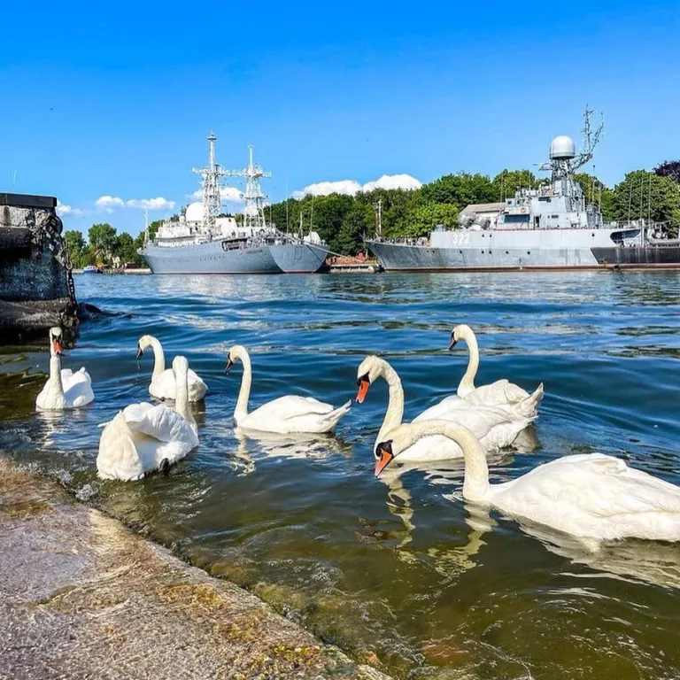 Уютная квартира в 5-ти минутах от моря