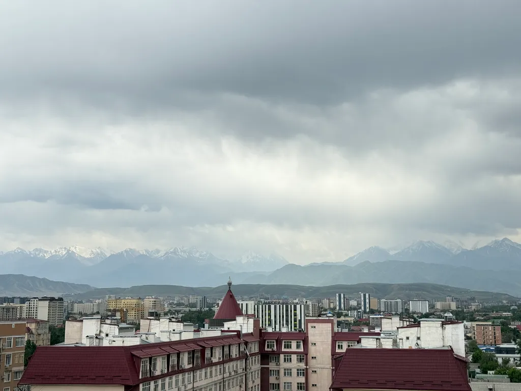 Просторная квартира в центре города