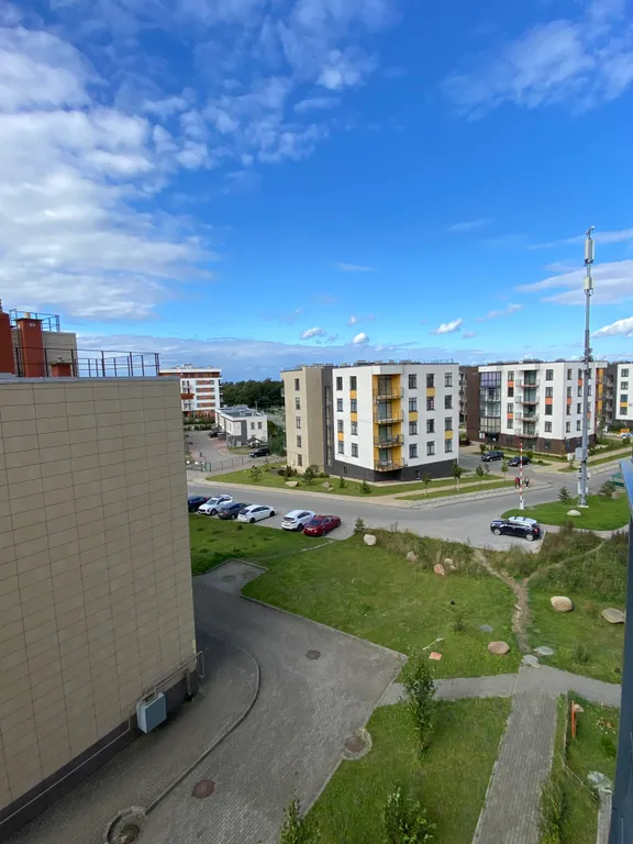 Квартира Уютная и светлая квартира рядом с морем — Светлогорск