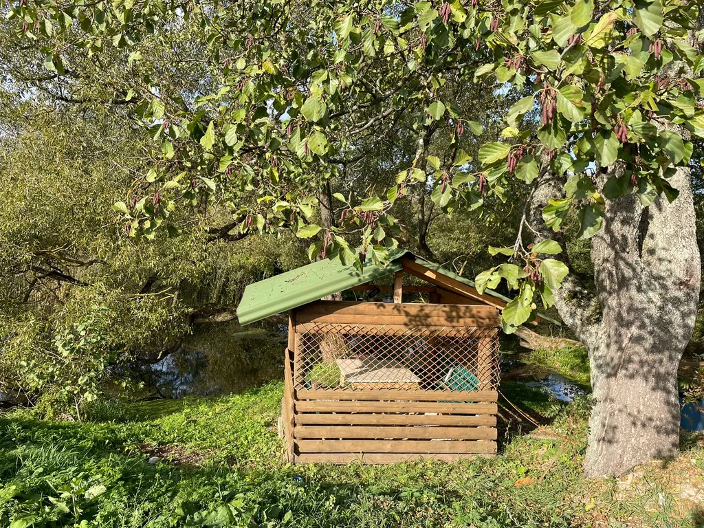 Коттедж Дом-баня с шикарным видом из окна и сибирским банным чаном — Васькино