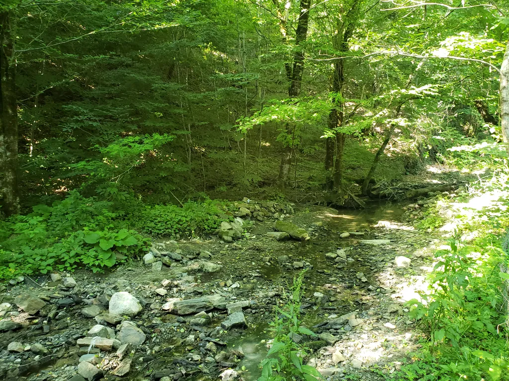 Коттедж с бассейном возле леса