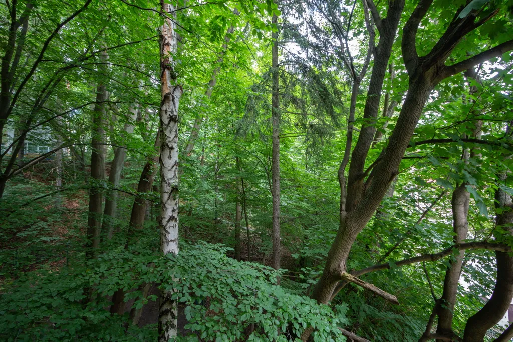 Двухкомнатная квартира Арт в Светлогорске 2  в 750 м от моря