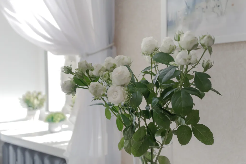 Уютная и светлая квартира с современным ремонтом