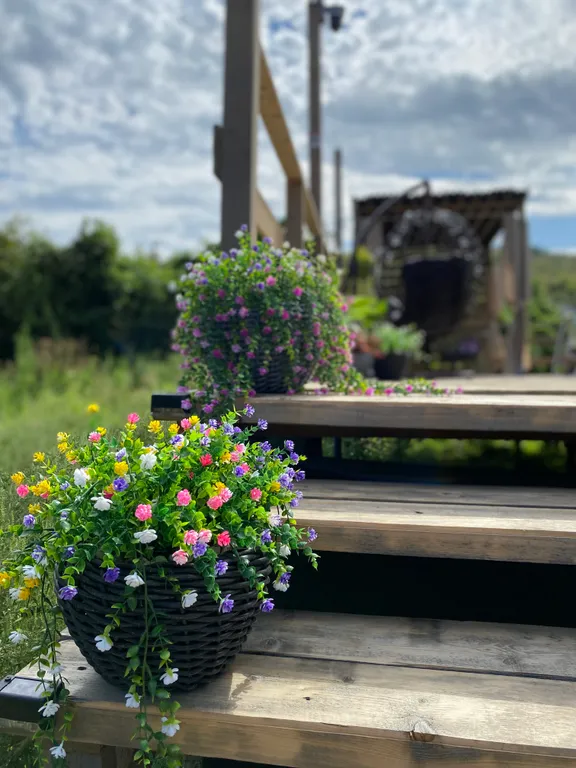 Уютная сфера на побережье