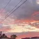 Вероника