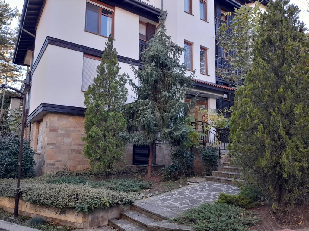 Трехкомнатный люкс в соснах у моря в Санта Марина