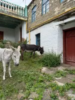 Карина Маликова