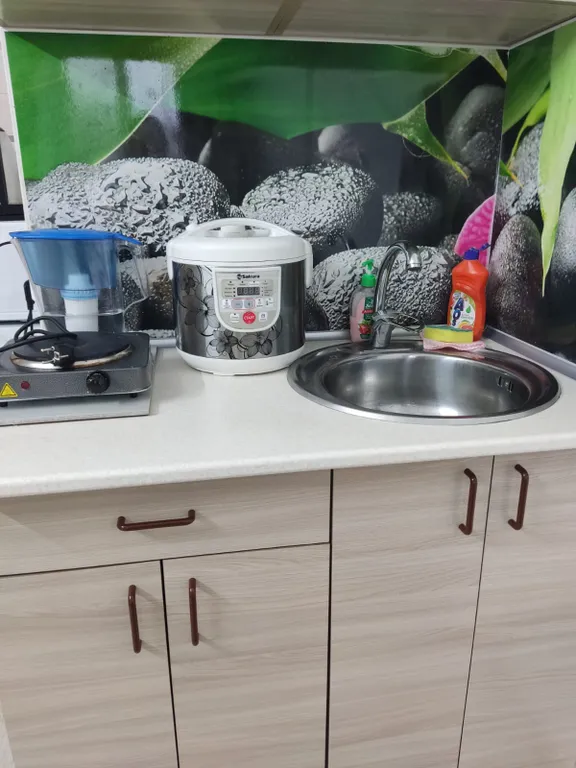 Зеленая студия у Речного вокзала