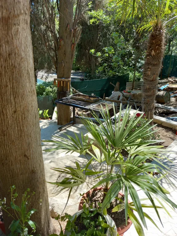 Квартира Квартира Уютный дом с парковкой в 5 минутах к морю — Кацивели