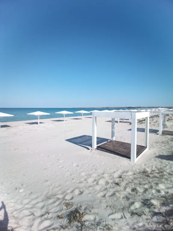 Аппартамент у моря в соснах