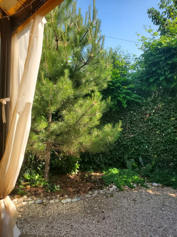 Коттедж Домик у моря — Севастополь