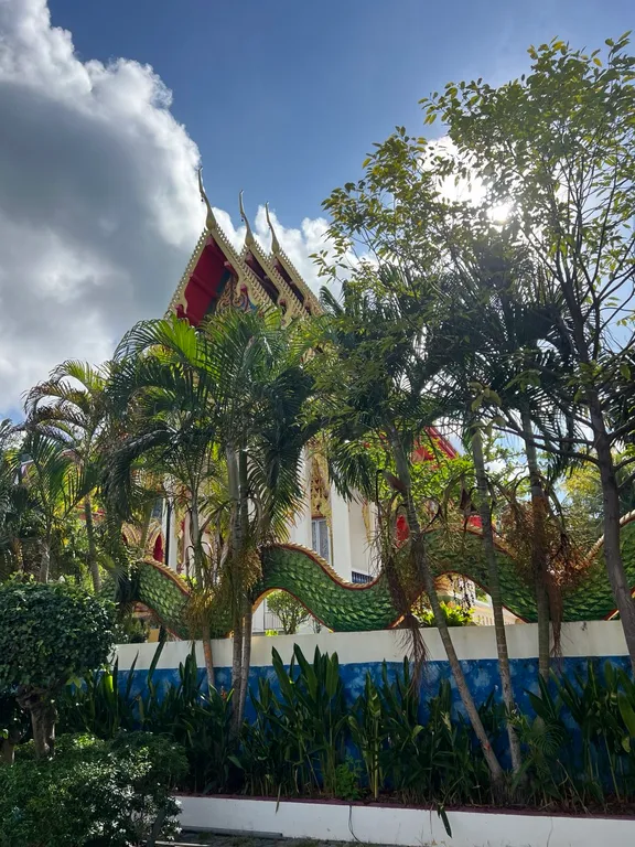 Студия с восхитительны видом на горы, Карон