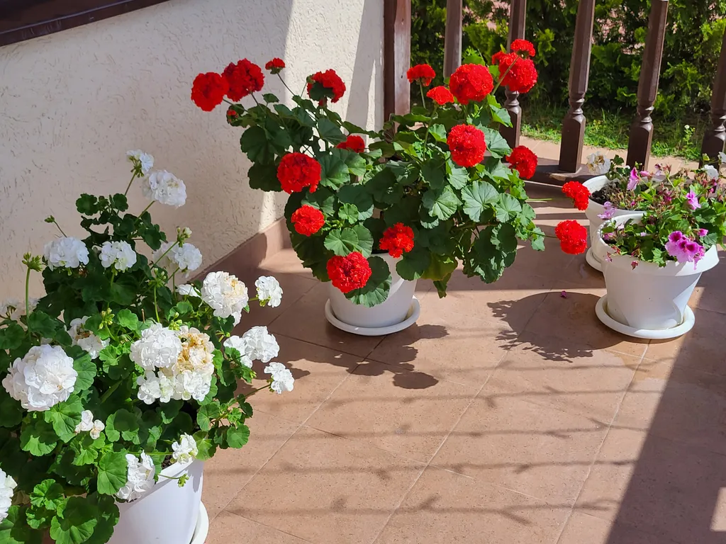 Гостевой дом Лаванда