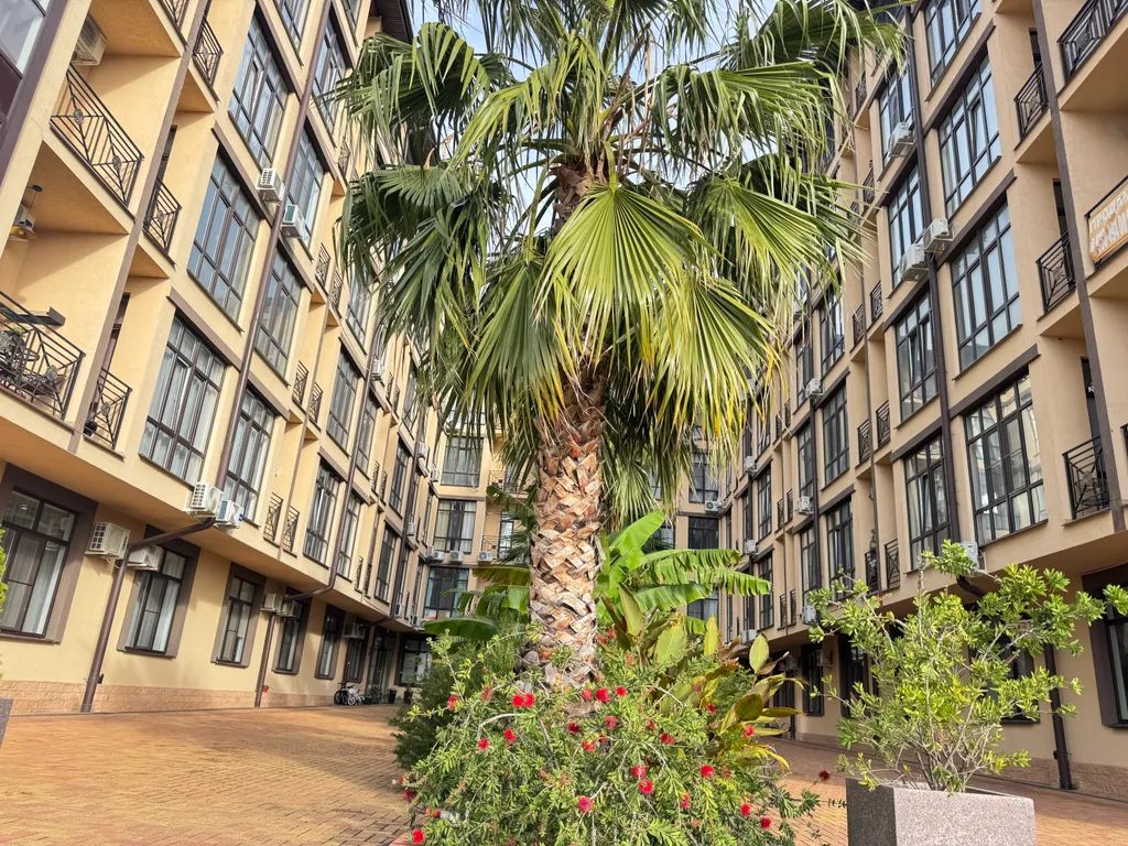 Квартира Стильная, уютная квартира с шикарным видом на Олимп Парк — Сириус