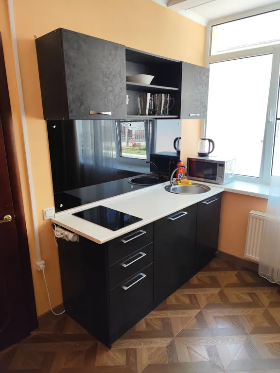 Двухкомнатные апартаменты в апарт-отеле Афалина