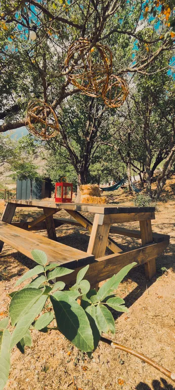 Коттедж 1-комнатный Дом — Лучистое