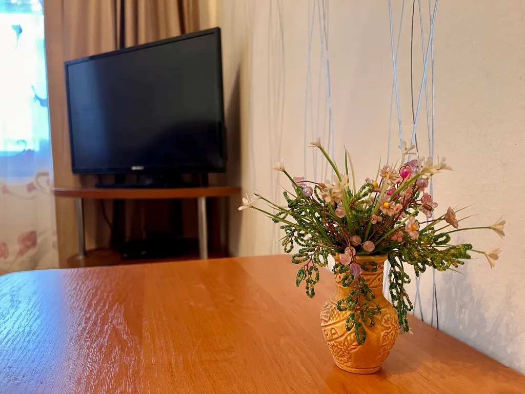 Квартира в центре у фонтана