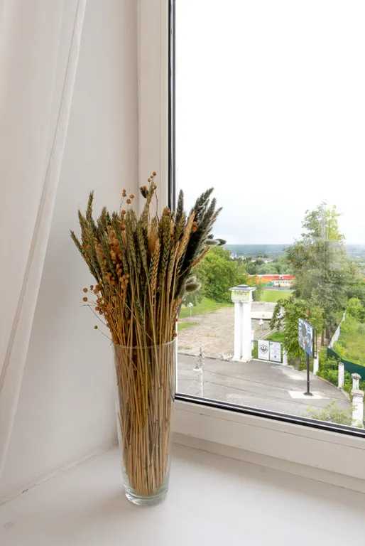 Уютная квартира у Золотых ворот