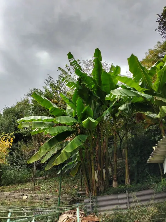 Уютный дом для большой семьи или компании в окружение сада