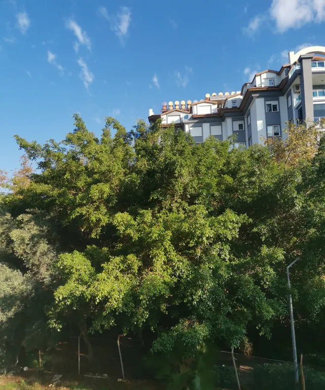 Новая квартира в сердце Алании