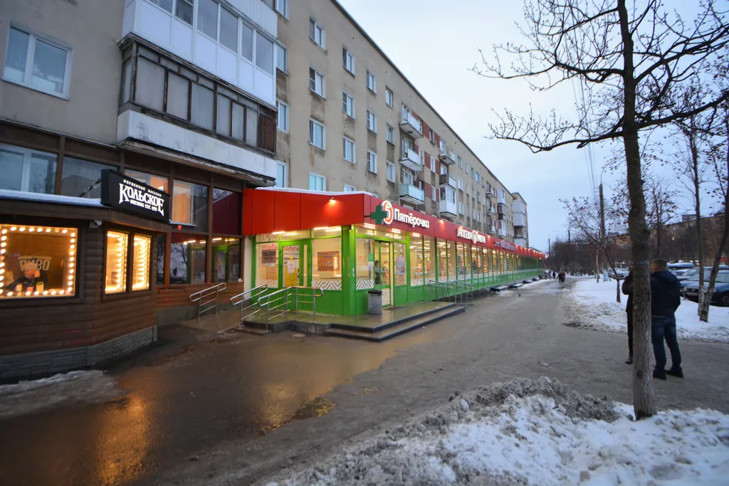 Однокомнатная квартира с улучшенной планировкой в доме с универмагом