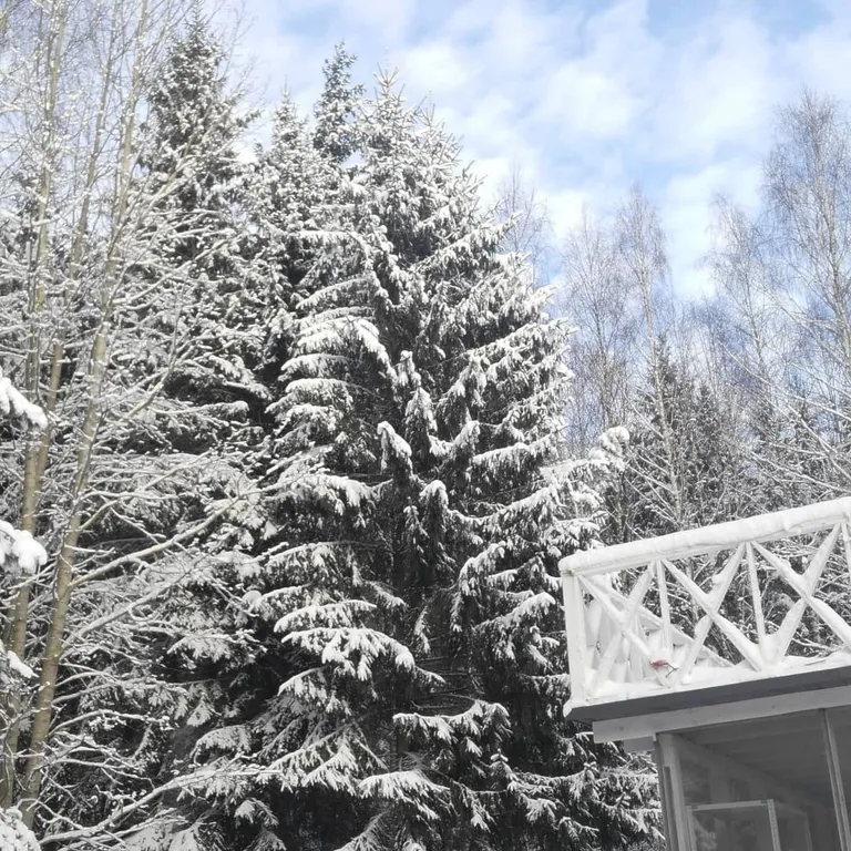 Мансардный номер - студия на двоих с террасой