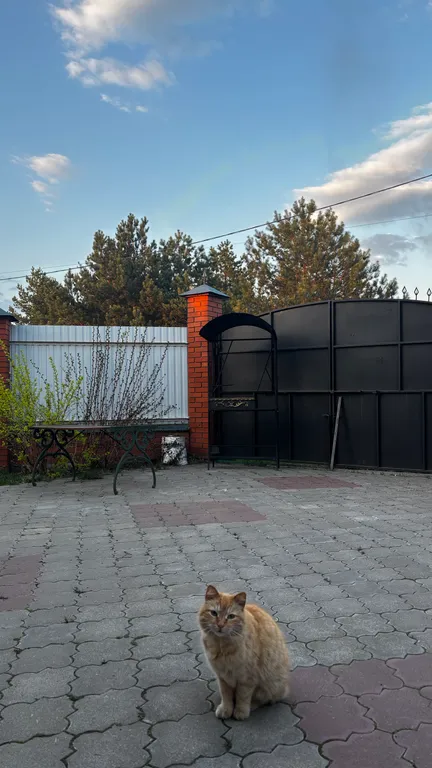 Для семей с детьми