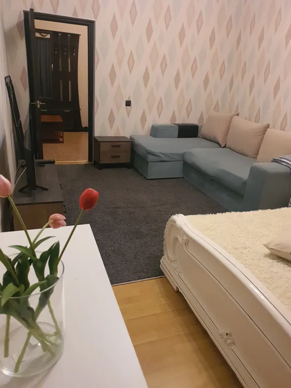 Квартира Отличная квартира у метро — Санкт-Петербург