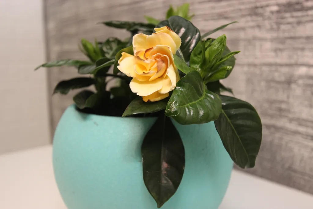 Уютные апартаменты с видом на море