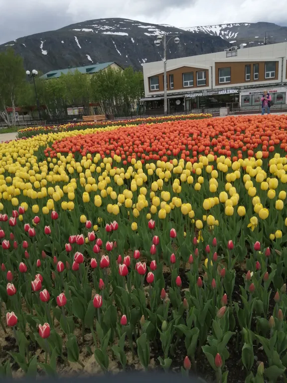 Семейная комната в спальном районе города