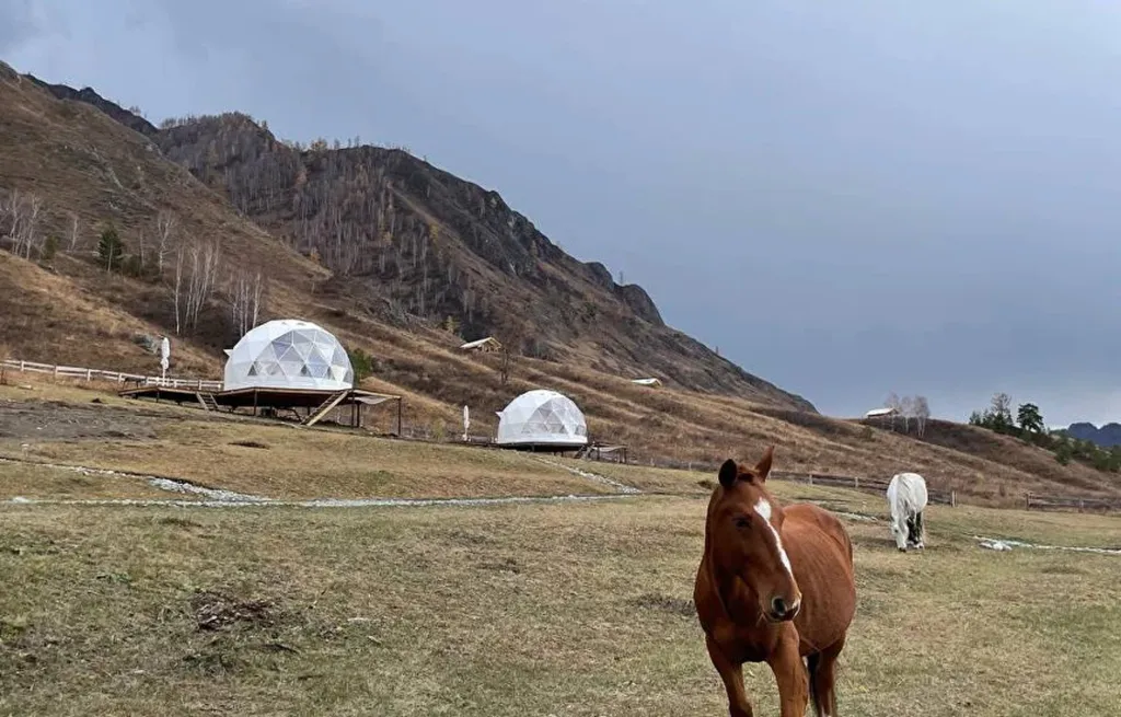 Cloud Park Altay