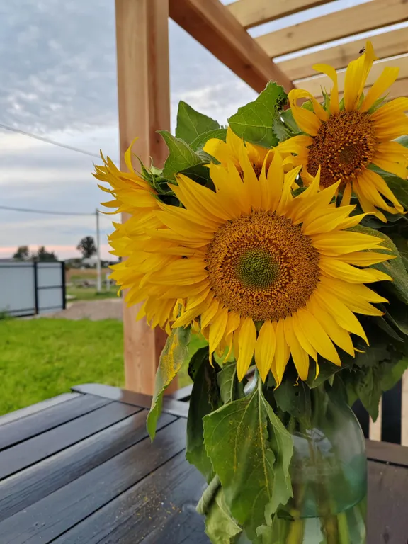 Дом для загородного отдыха