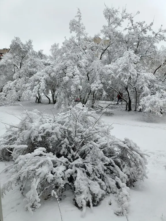 Уютная квартира на ближнем Завеличье