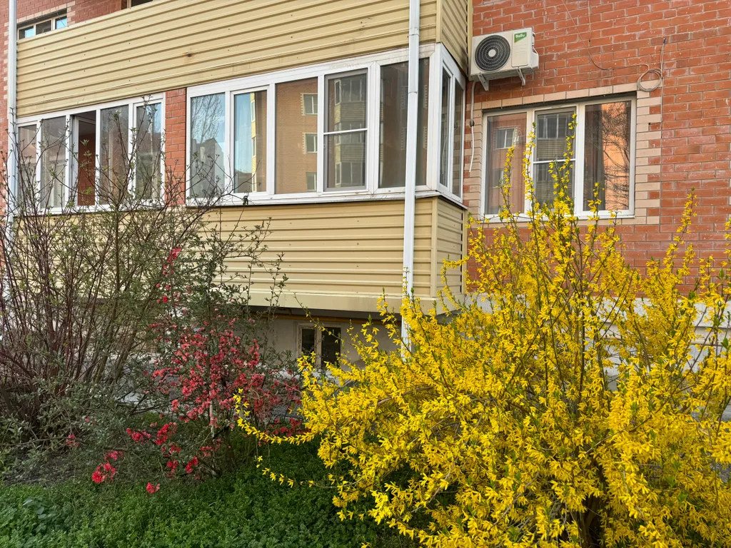 Новая студия вблизи с источниками в микрорайоне « курортный»