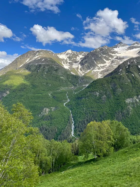 Уютная светлая квартира в лесу среди гор