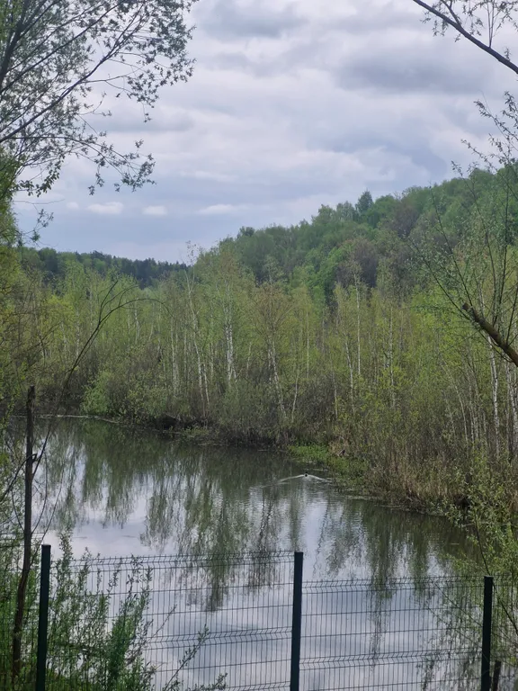 Коттедж А-фрейм с видом на озеро и лес — Казань