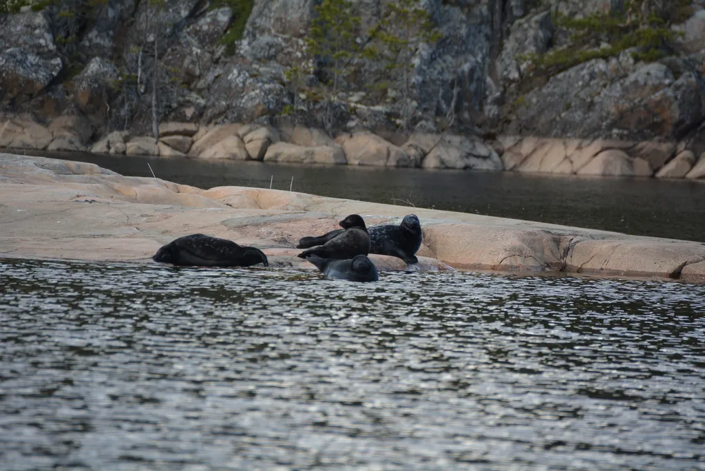 Уютный дом в уединенном месте в шхерах Ладоги