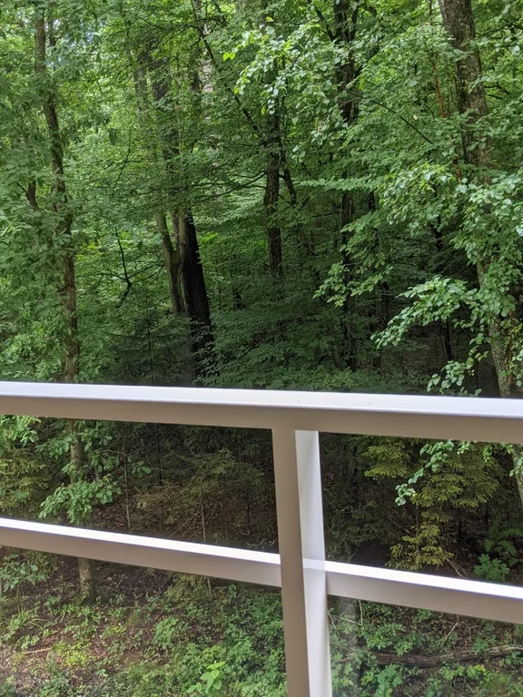 Апартамент с видом на лес