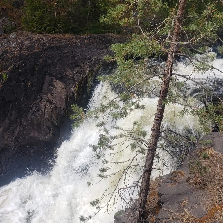 Гостевой дом Лось