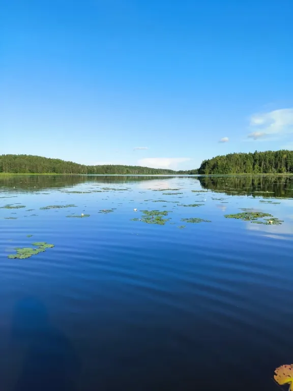 Агроусадьба Ивановых, старый хутор Тауно Туоми